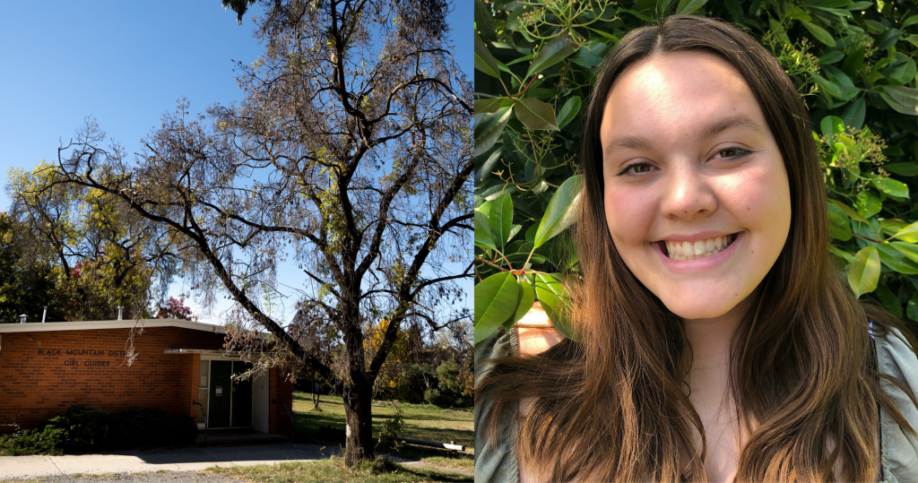 Left: Audrey McCormick - A young woman with shoulder length light brown hair. She is smiling and standing against a leafy background that fills the frame. Right: A single tall Ash tree outside Black Mountain Girl Guide Hall, a modest brick hall next to a paddock in a suburb. The tree is a little dry with only a few pale green leaves. It looks like a good climbing tree with strong spread out branches.