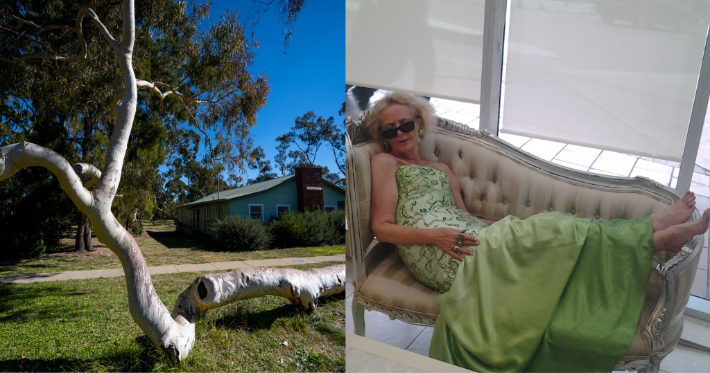 Left: Kate McNamara - A woman in a green dress reclining on a couch in a happy pose. Right: A Brittle Gum with a very unusual growing habit, its white trunk is lying across the ground, then rising in a regular position, it looks like a big snake. It is very unusual.