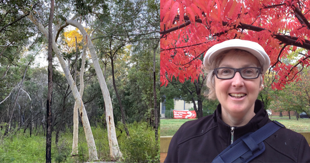 Left: Sarah Rice - A smiling woman with short grey curly hair a white peaked cap and glasses, and in the background is vivid red Autumn maple trees. Right: White trunked trees entwined with the sun enfolded in their branches.