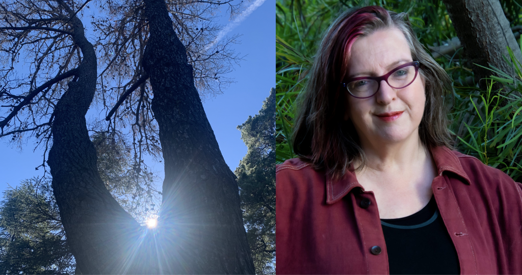 Left: Sarah St Vincent Welch - A smiling woman with shoulder length grey hair, pink at the front, with glasses, wearing a maroon jacket, her arms open, with a leafy backdrop. Right: Almost a silhouette of a Pinus radiata double trunk the sun glinting where the trunks join. It is a little surreal, almost ominous, though some have said the tree looks like it is doing a handstand, so the mood of the image can be interpreted in many ways. Perhaps it is a little wistful.